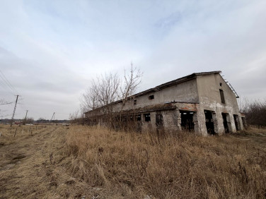 Działka przemysłowa Węgorzyce