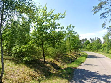 Działka rekreacyjna Zapędowo