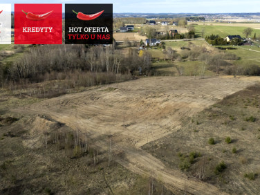 Działka inna Przyjaźń