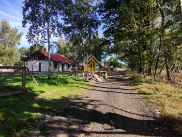 Działka nad jeziorem