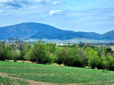 Działka Pietrzykowice