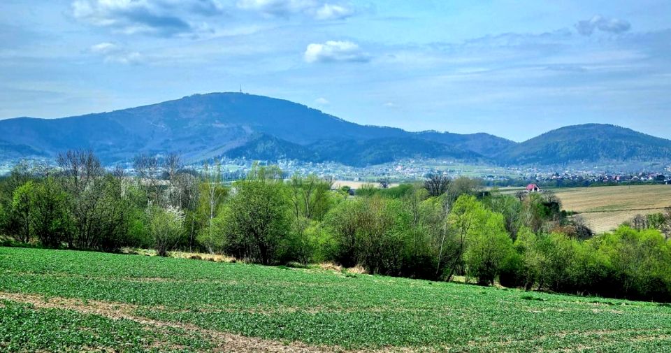 Działka Pietrzykowice