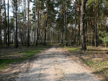 Działka budowlano-rolna Stary Adamów