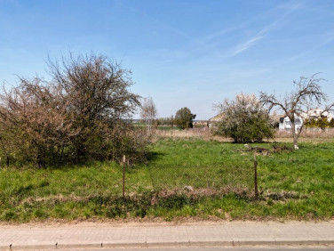 Działka Dziekanowice