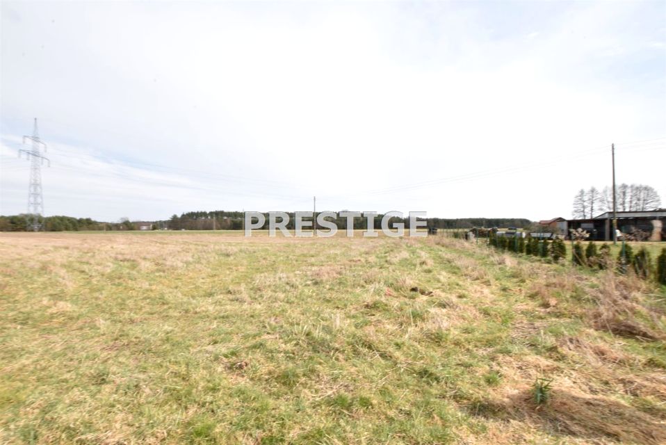 Pusta działka Jędrzychów