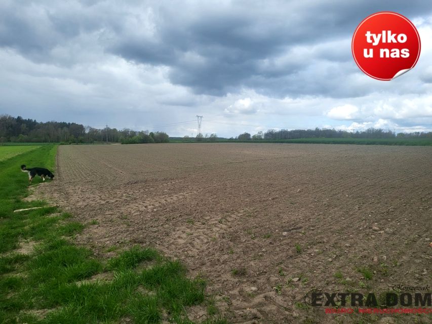 Działka rolna Mokre