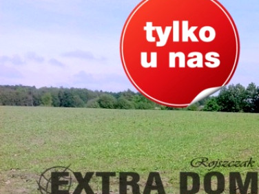 Działka Łosośnica