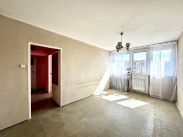 Mieszkanie Oleśnica