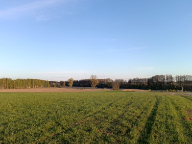 Działka Wola Pasikońska