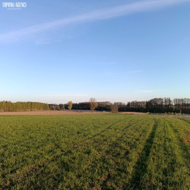 Działka Wola Pasikońska