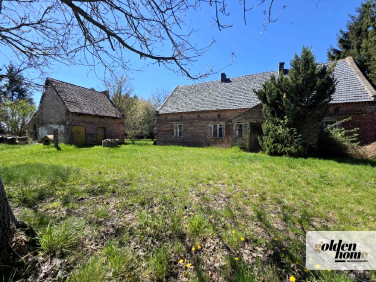 Dom wolnostojący sprzedaż