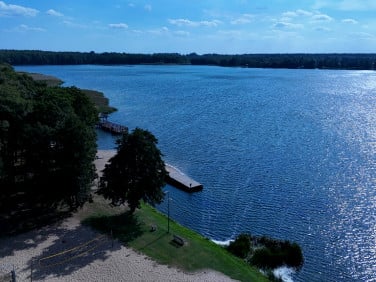 Działka Rybno