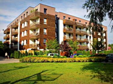 Mieszkanie Skórzewo