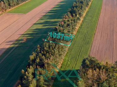 Działka budowlana Pokrzywnica