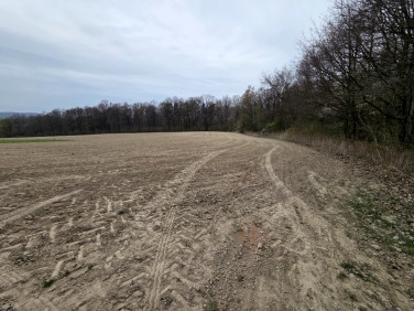 Działka rolna Tąpadła