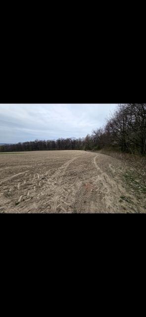 Działka rolna Tąpadła