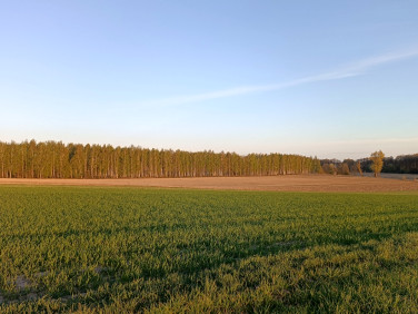 Działka Wola Pasikońska