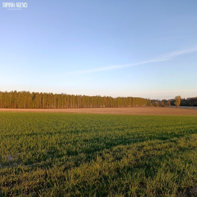 Działka Wola Pasikońska