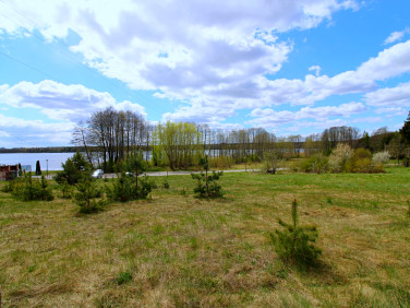 Działka Rybno
