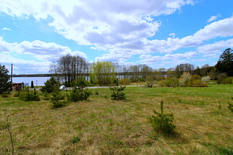 Działka Rybno