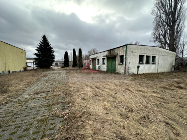 Lokal Pruszcz Gdański