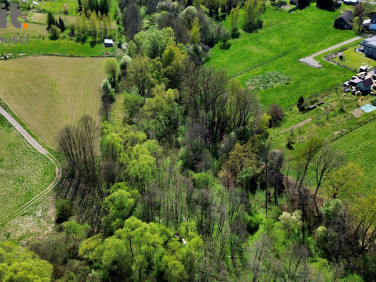Działka leśna Zakliczyn