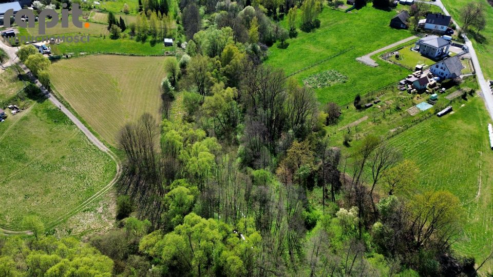 Działka leśna Zakliczyn