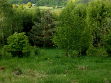 Działka budowlana Stara Huta