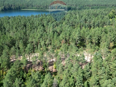 Działka budowlana Skorzewo