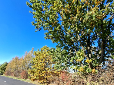 Działka budowlana Kawęczyn