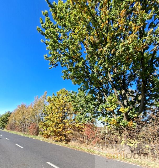 Działka budowlana Kawęczyn