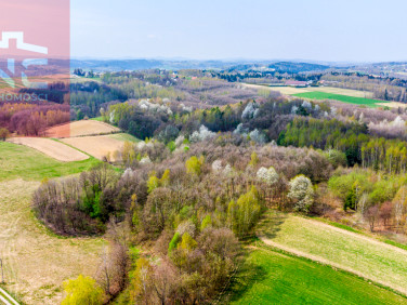Działka rolna Rzepiennik Biskupi