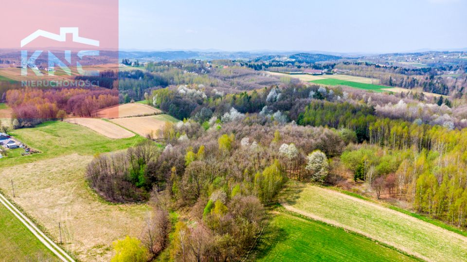 Działka rolna Rzepiennik Biskupi