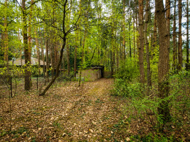 Działka Rosanów