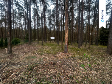 Działka rekreacyjna sprzedam
