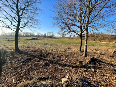 Działka rolna sprzedam