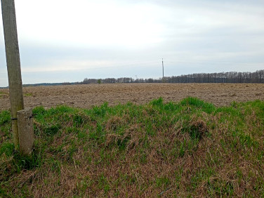 Działka budowlano-rolna Przybiernów