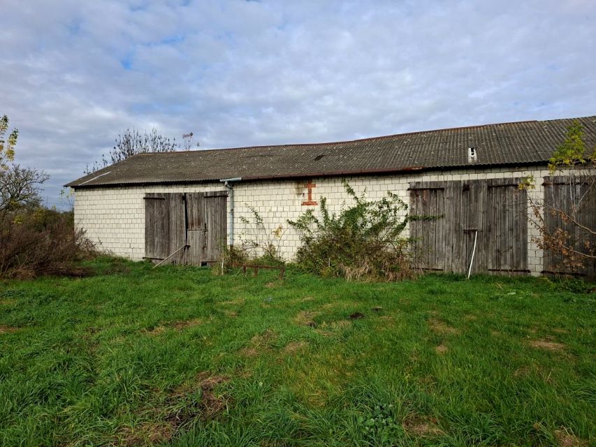 Działka siedliskowa Aleksandria