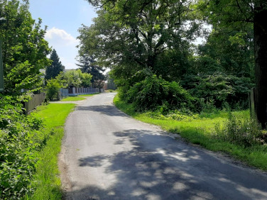 Działka siedliskowa Lindów