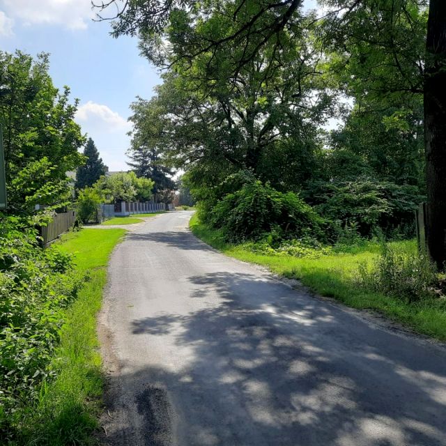 Działka siedliskowa Lindów