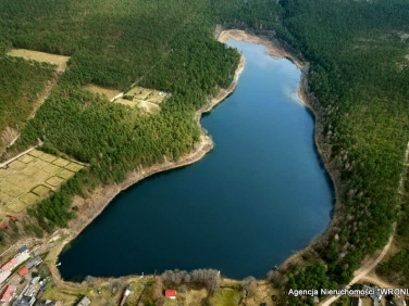 Działka leśna sprzedam
