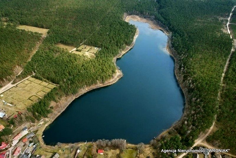 Działka leśna sprzedam