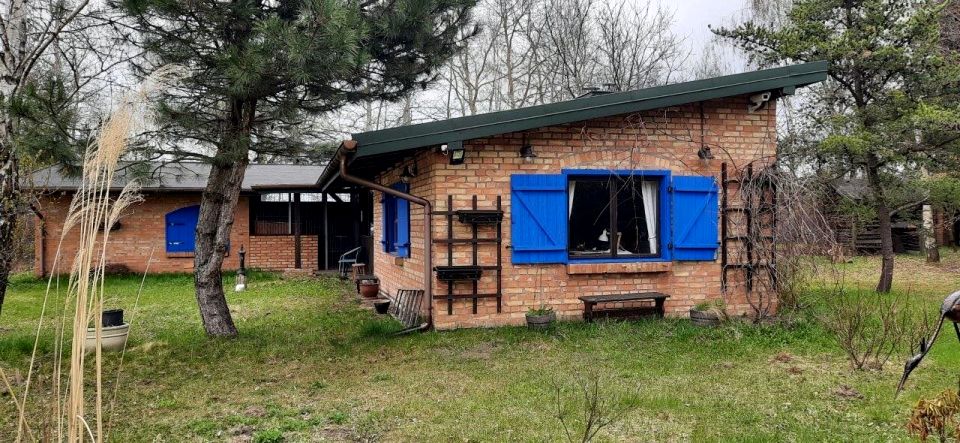 Działka siedliskowa Zaręby