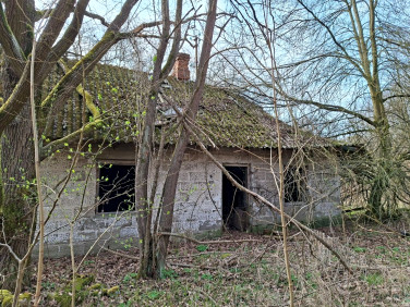 Działka siedliskowa Oddział