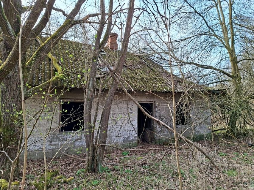 Działka siedliskowa Oddział