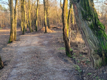 Działka usługowa Grodzisk Mazowiecki