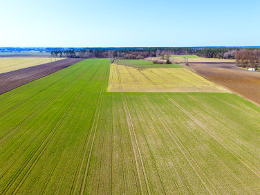 Działka budowlana Gniezno sprzedam