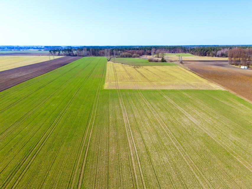 Działka budowlana Gniezno sprzedam