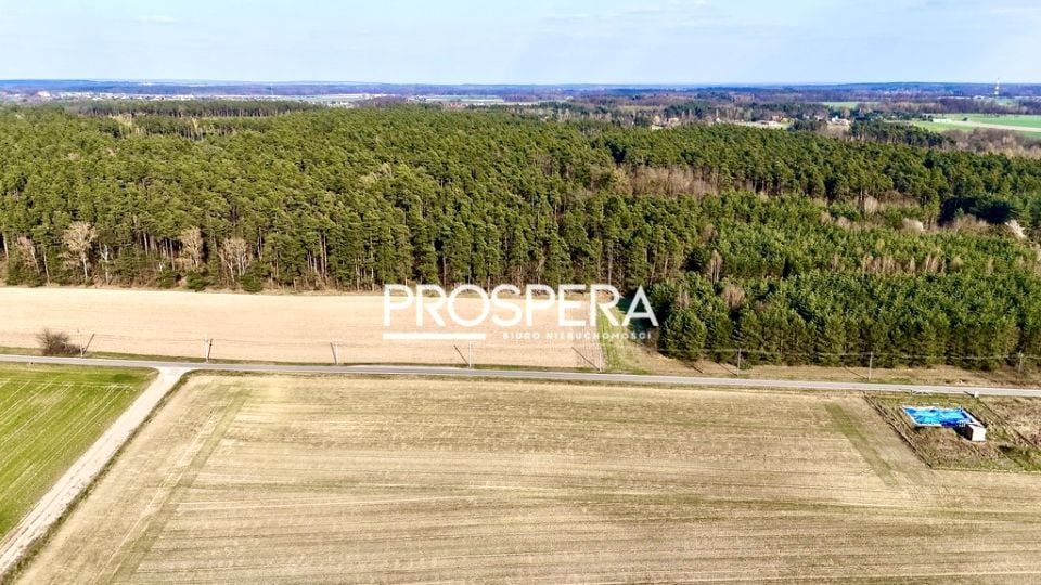 Działka OSTROWINA