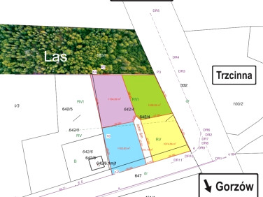 Działka budowlana Trzcinna